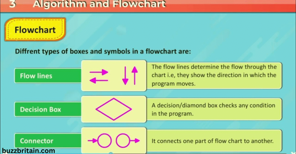 What is an Algorithm? A Complete Guide to Definition, Types & Uses